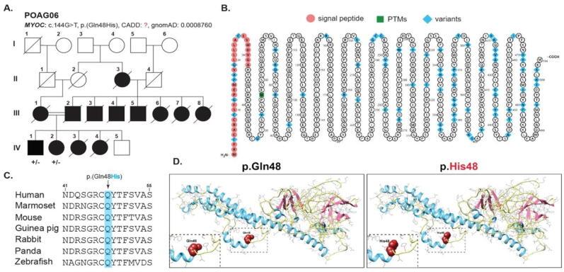 https://cdn.ncbi.nlm.nih.gov/pmc/blobs/16a4/9649946/244fb4551b2e/gr1.jpg