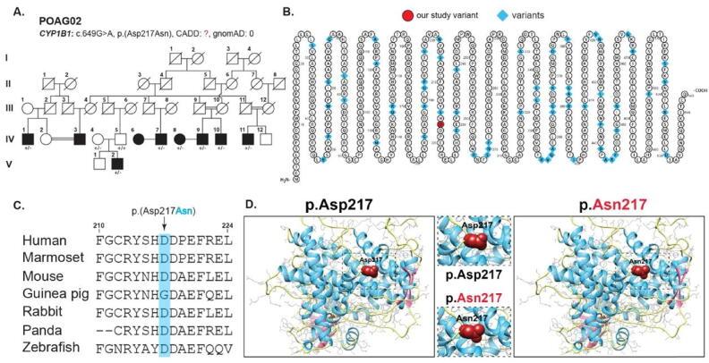https://cdn.ncbi.nlm.nih.gov/pmc/blobs/16a4/9649946/7334f7a05faf/gr2.jpg