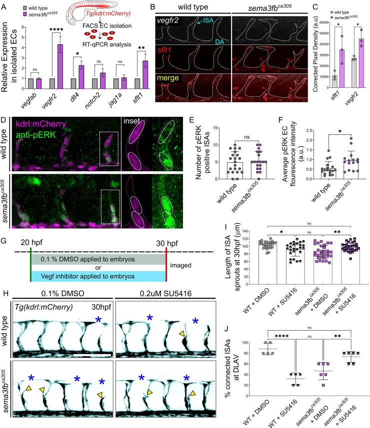 https://cdn.ncbi.nlm.nih.gov/pmc/blobs/16a6/8412281/f1525de1f3ec/pgen.1009769.g004.jpg