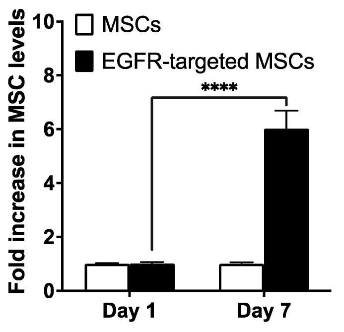 https://cdn.ncbi.nlm.nih.gov/pmc/blobs/16a7/10304812/1f855b6cfd59/pharmaceutics-15-01742-g008.jpg