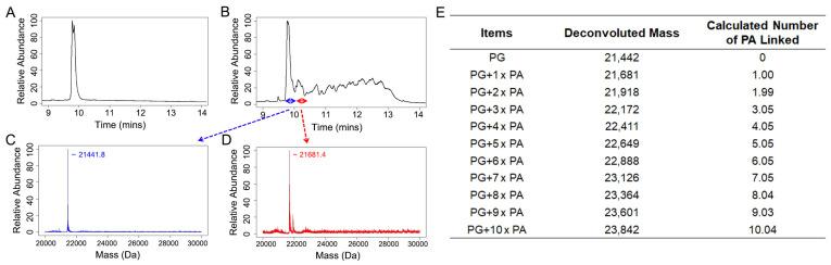 https://cdn.ncbi.nlm.nih.gov/pmc/blobs/16a7/10304812/42f257219ef3/pharmaceutics-15-01742-g001.jpg
