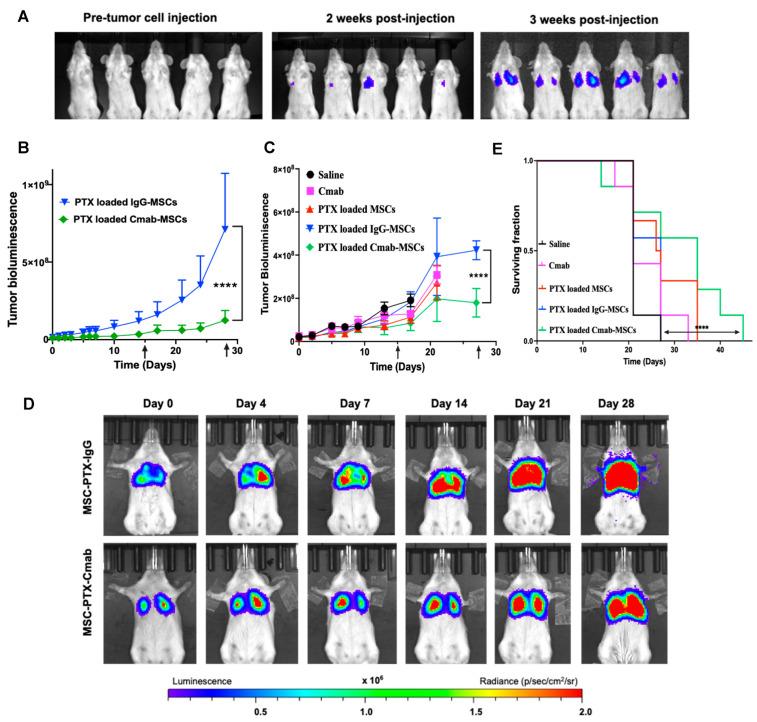 https://cdn.ncbi.nlm.nih.gov/pmc/blobs/16a7/10304812/c193f0befc29/pharmaceutics-15-01742-g007.jpg