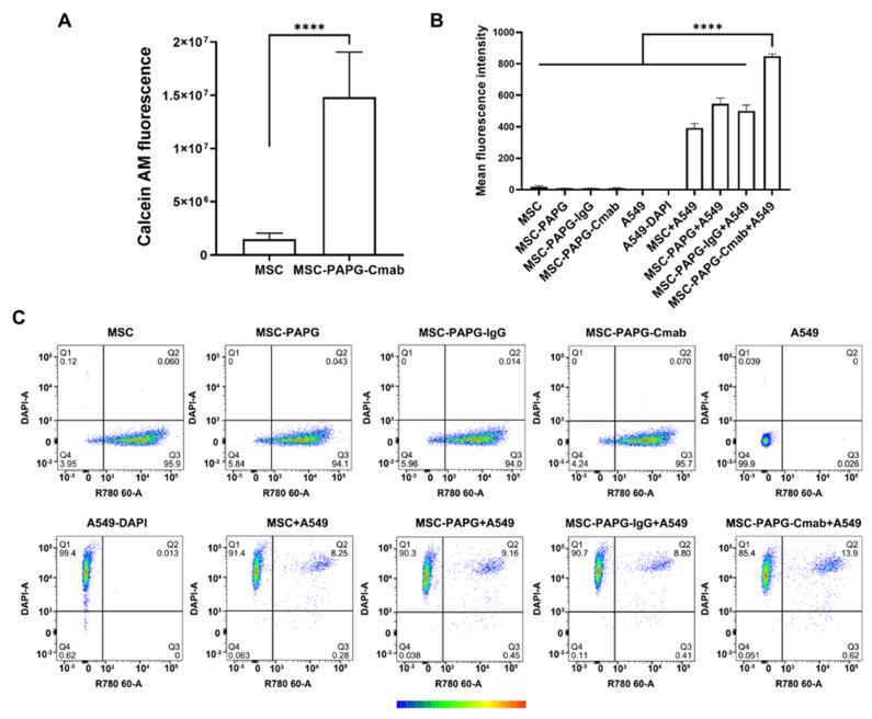 https://cdn.ncbi.nlm.nih.gov/pmc/blobs/16a7/10304812/c8f89b90f951/pharmaceutics-15-01742-g005.jpg