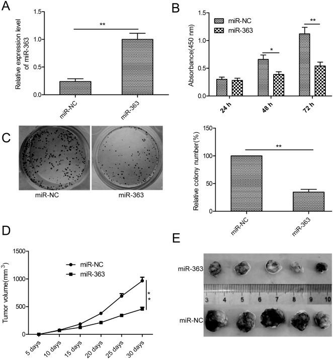 https://cdn.ncbi.nlm.nih.gov/pmc/blobs/16a9/5731903/03de0f87a3f3/oncotarget-08-101649-g002.jpg