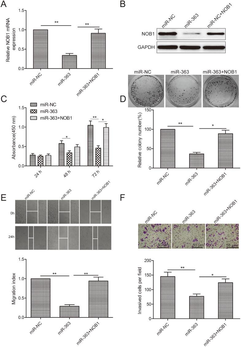 https://cdn.ncbi.nlm.nih.gov/pmc/blobs/16a9/5731903/09b09035234b/oncotarget-08-101649-g005.jpg