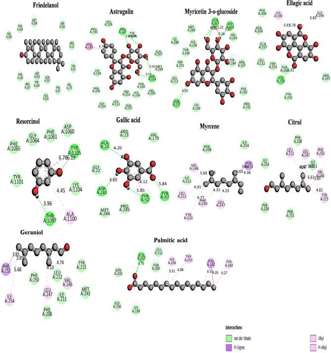 https://cdn.ncbi.nlm.nih.gov/pmc/blobs/16ad/12259890/0224ffab458f/41598_2025_8653_Fig5_HTML.jpg
