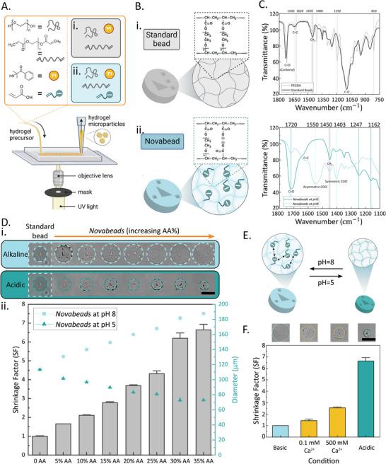 https://cdn.ncbi.nlm.nih.gov/pmc/blobs/16ad/12372440/5cf007465aa8/SMLL-21-2503990-g006.jpg