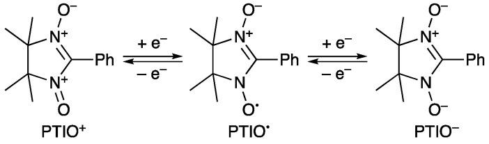 https://cdn.ncbi.nlm.nih.gov/pmc/blobs/16b2/11050215/18fbb3035d1b/ijms-25-04417-sch001.jpg