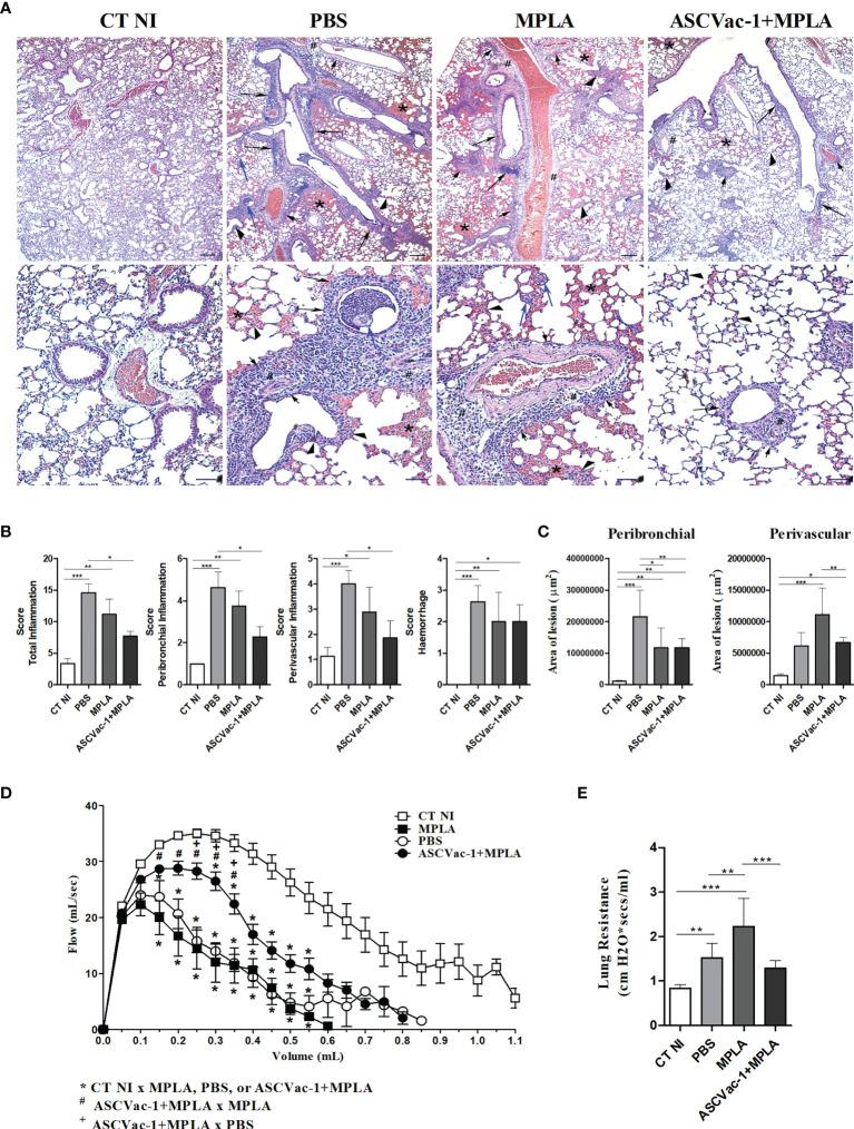 https://cdn.ncbi.nlm.nih.gov/pmc/blobs/16b2/8724438/132afb3b9c95/fimmu-12-788185-g010.jpg