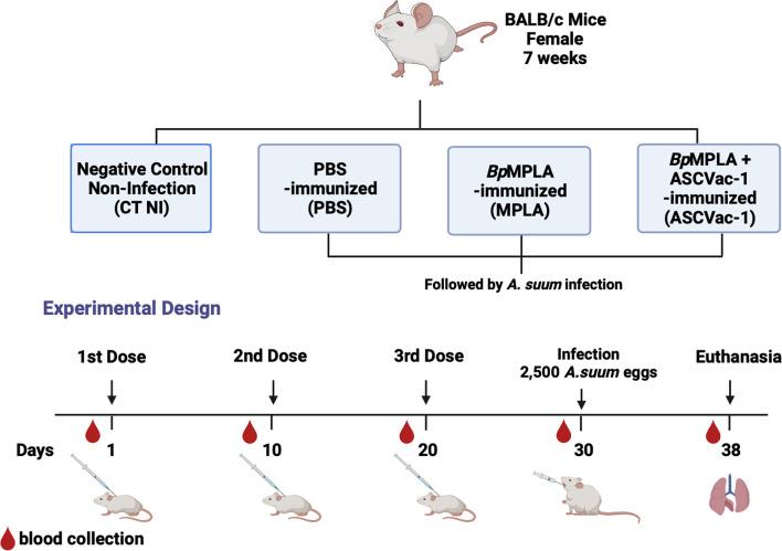 https://cdn.ncbi.nlm.nih.gov/pmc/blobs/16b2/8724438/16b10b80e30f/fimmu-12-788185-g002.jpg