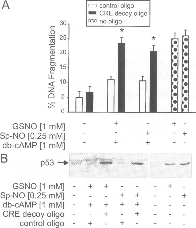 https://cdn.ncbi.nlm.nih.gov/pmc/blobs/16b3/2230476/529add851701/molmed00010-0042-b.jpg