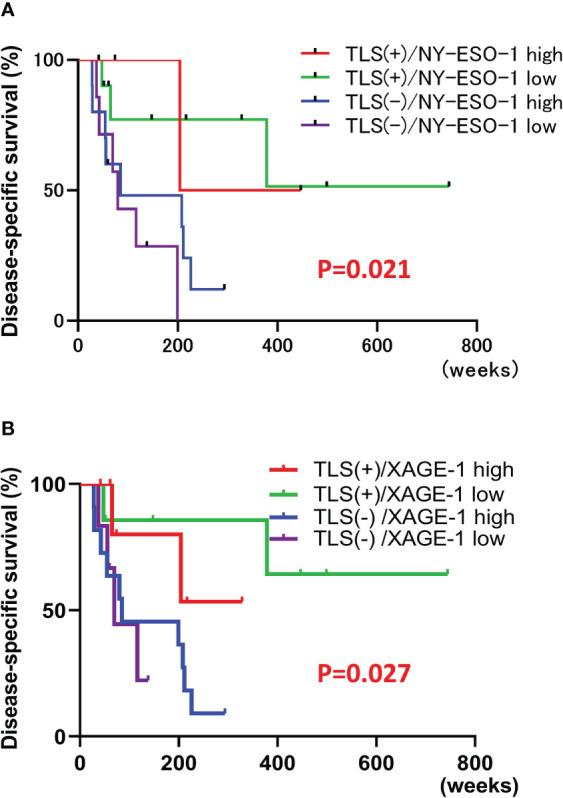 https://cdn.ncbi.nlm.nih.gov/pmc/blobs/16b4/10112511/57c9b4deefd9/fonc-13-1106434-g006.jpg