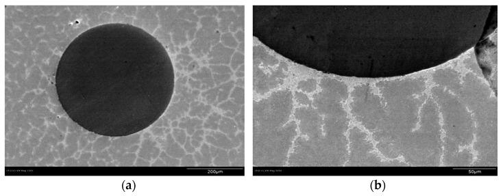https://cdn.ncbi.nlm.nih.gov/pmc/blobs/16b4/9102469/32462fd0c81b/materials-15-02970-g002.jpg