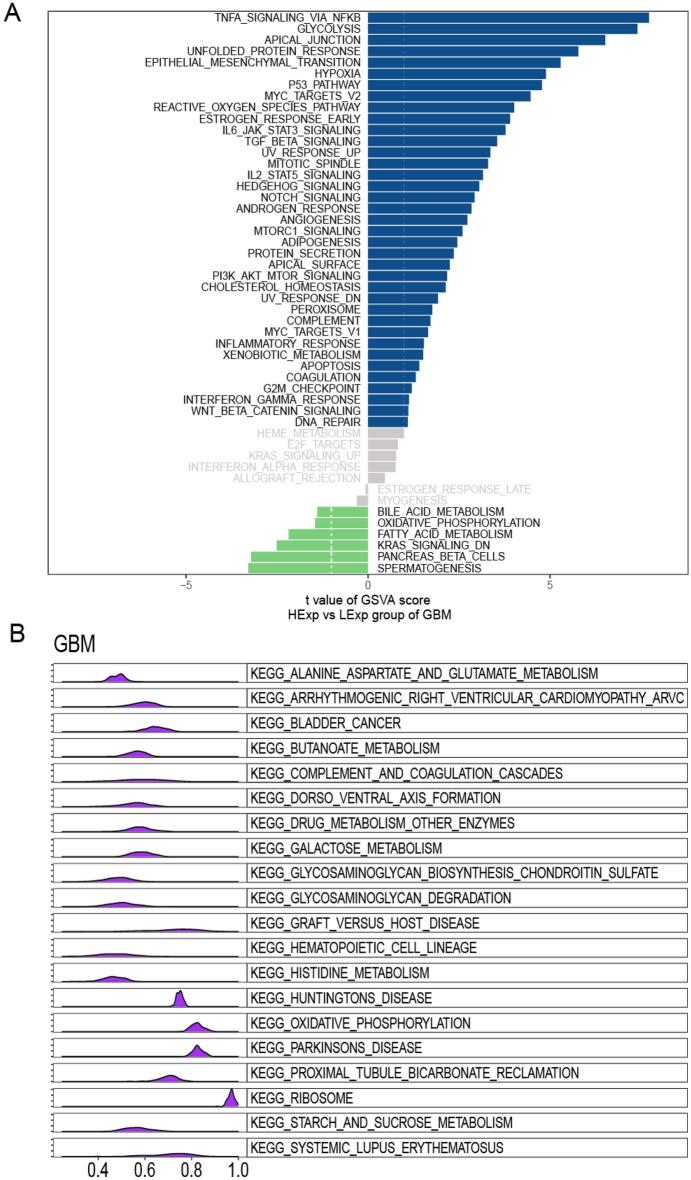 https://cdn.ncbi.nlm.nih.gov/pmc/blobs/16b5/10067962/40a1d94c9db9/41598_2023_32375_Fig9_HTML.jpg