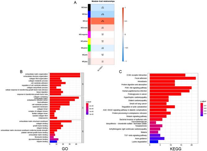 https://cdn.ncbi.nlm.nih.gov/pmc/blobs/16b5/10067962/a623680111b7/41598_2023_32375_Fig11_HTML.jpg