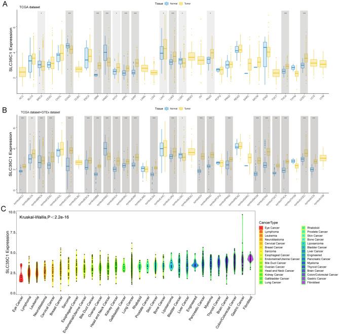 https://cdn.ncbi.nlm.nih.gov/pmc/blobs/16b5/10067962/c444514c2e53/41598_2023_32375_Fig1_HTML.jpg