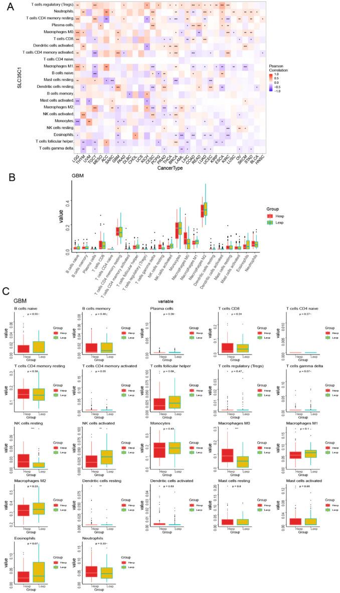 https://cdn.ncbi.nlm.nih.gov/pmc/blobs/16b5/10067962/ed3804da3f63/41598_2023_32375_Fig5_HTML.jpg