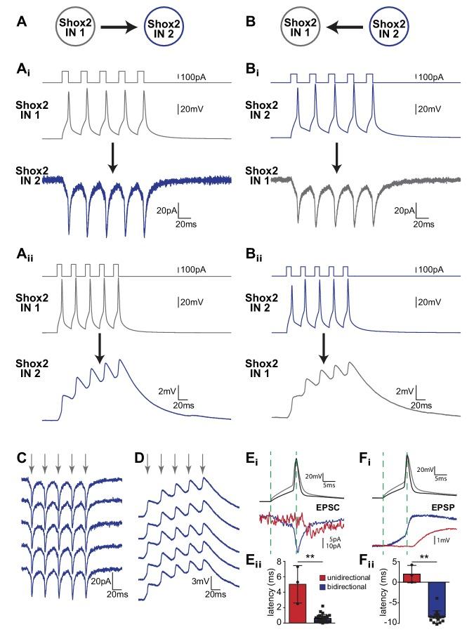 https://cdn.ncbi.nlm.nih.gov/pmc/blobs/16b5/6333440/0cf2cb599d33/elife-42519-fig2.jpg