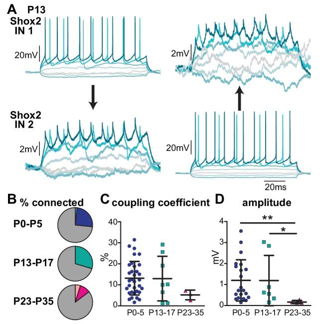 https://cdn.ncbi.nlm.nih.gov/pmc/blobs/16b5/6333440/54f2a058a135/elife-42519-fig7.jpg