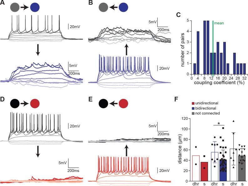 https://cdn.ncbi.nlm.nih.gov/pmc/blobs/16b5/6333440/c2cf97796b75/elife-42519-fig3.jpg