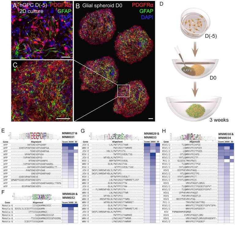 https://cdn.ncbi.nlm.nih.gov/pmc/blobs/16b6/11348808/104e7c6a02cb/fnins-18-1435212-g001.jpg
