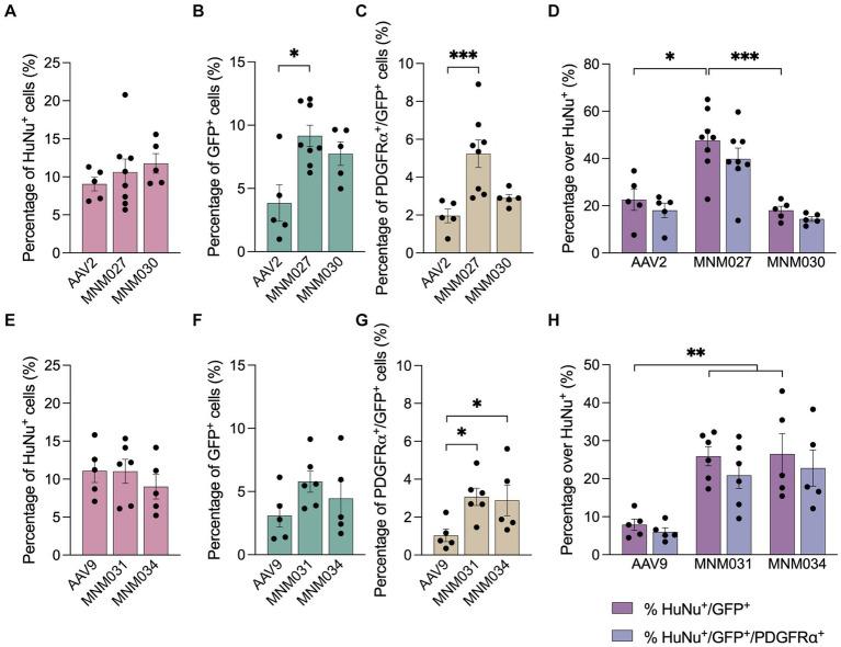 https://cdn.ncbi.nlm.nih.gov/pmc/blobs/16b6/11348808/886f1dd5bf13/fnins-18-1435212-g004.jpg