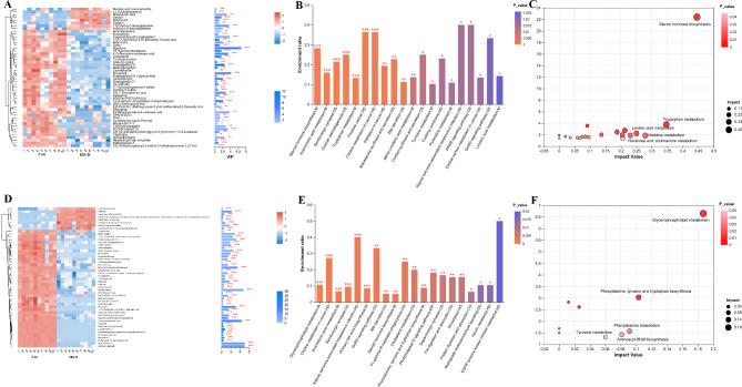 https://cdn.ncbi.nlm.nih.gov/pmc/blobs/16b6/11515126/42431ef6f6ad/12866_2024_3592_Fig6_HTML.jpg