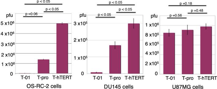 https://cdn.ncbi.nlm.nih.gov/pmc/blobs/16b6/8353919/1946c5d3eaef/CAS-112-3293-g006.jpg