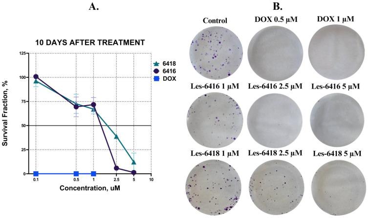 https://cdn.ncbi.nlm.nih.gov/pmc/blobs/16b9/12190436/f41f79175ebd/cells-14-00861-g003.jpg