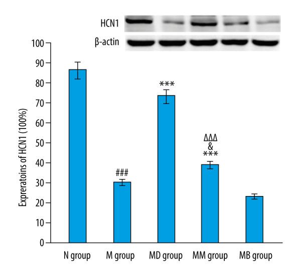 https://cdn.ncbi.nlm.nih.gov/pmc/blobs/16b9/8642983/0cbce5276553/medscimonit-27-e932885-g002.jpg