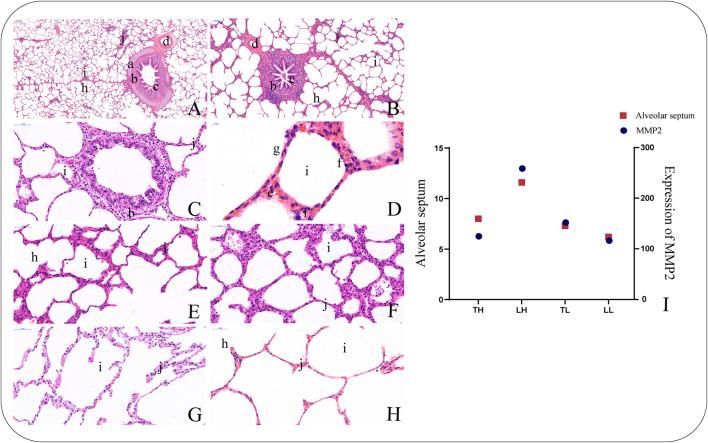 https://cdn.ncbi.nlm.nih.gov/pmc/blobs/16bb/8529057/1b4e9c0d49bb/fgene-12-691592-g0001.jpg