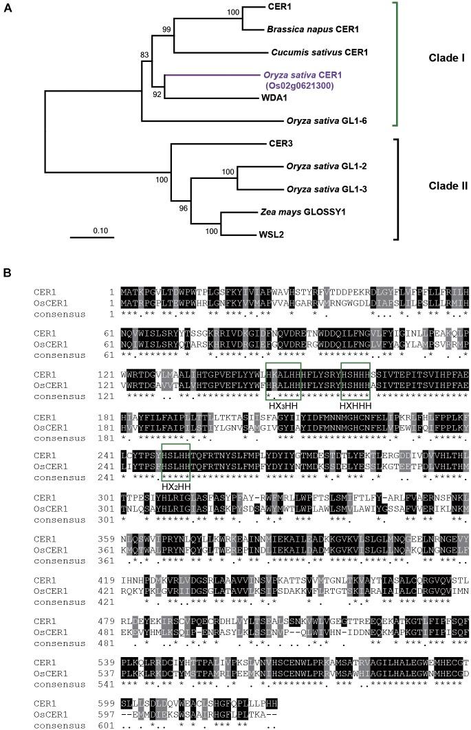 https://cdn.ncbi.nlm.nih.gov/pmc/blobs/16bc/6136457/094e2431e839/fpls-09-01217-g001.jpg