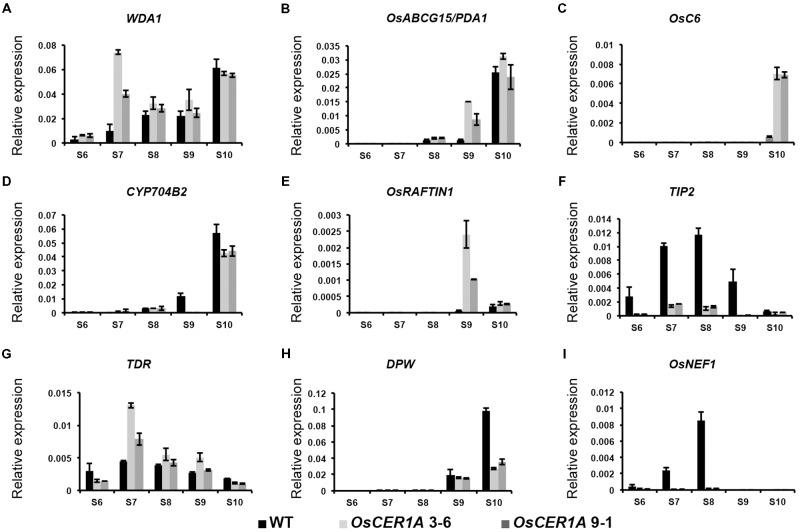 https://cdn.ncbi.nlm.nih.gov/pmc/blobs/16bc/6136457/0d684094774b/fpls-09-01217-g009.jpg