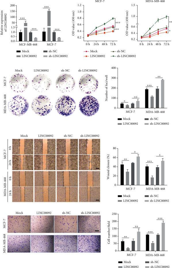 https://cdn.ncbi.nlm.nih.gov/pmc/blobs/16bd/9256459/0b63607b3c0f/OMCL2022-5215748.002.jpg
