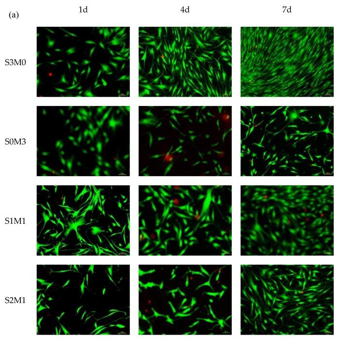 https://cdn.ncbi.nlm.nih.gov/pmc/blobs/16be/6835267/c23a4f5dcbdd/polymers-11-01584-g007a.jpg