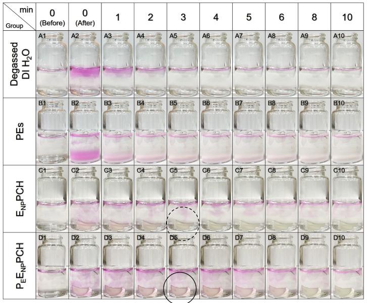 https://cdn.ncbi.nlm.nih.gov/pmc/blobs/16be/8951566/7c4ea2e1d960/pharmaceutics-14-00537-g003.jpg