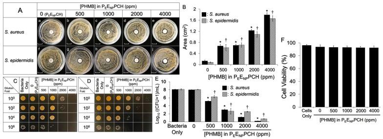 https://cdn.ncbi.nlm.nih.gov/pmc/blobs/16be/8951566/80d1adc08f9a/pharmaceutics-14-00537-g004.jpg