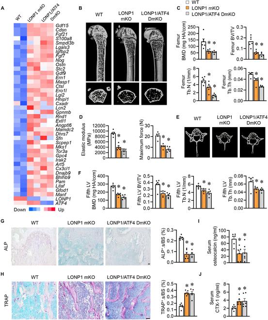 https://cdn.ncbi.nlm.nih.gov/pmc/blobs/16c1/11362843/4fcd6becba88/research.0465.fig.005.jpg