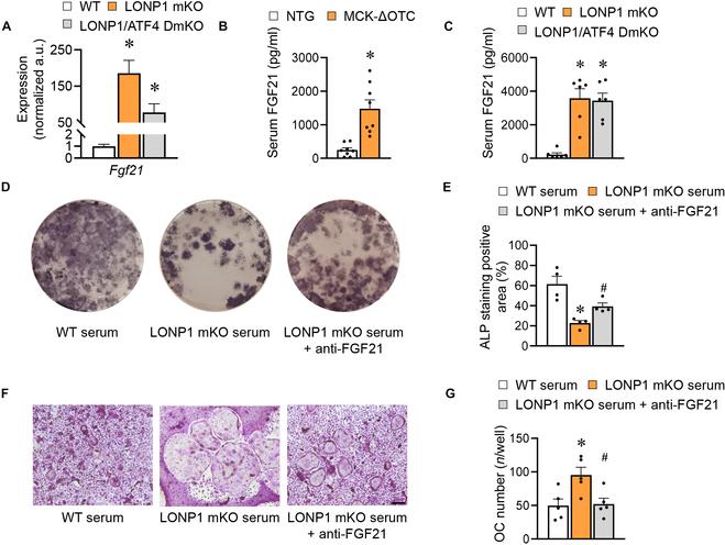 https://cdn.ncbi.nlm.nih.gov/pmc/blobs/16c1/11362843/ec74fd810840/research.0465.fig.006.jpg