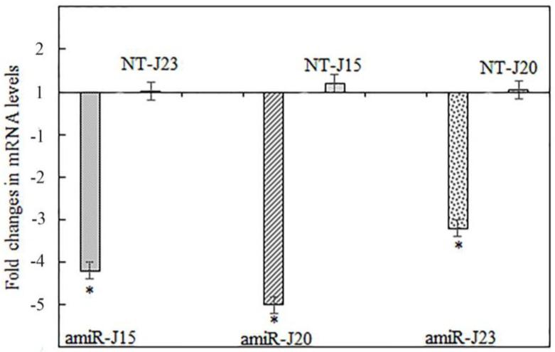 https://cdn.ncbi.nlm.nih.gov/pmc/blobs/16c2/5192498/388dfe406fc4/genes-07-00122-g008.jpg