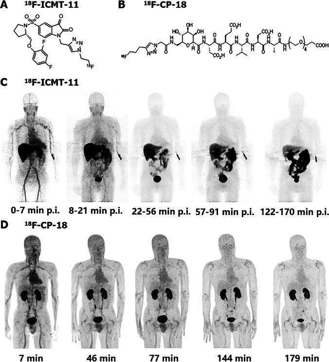 https://cdn.ncbi.nlm.nih.gov/pmc/blobs/16c2/8921127/a2bea3d6425d/259_2021_5641_Fig4_HTML.jpg