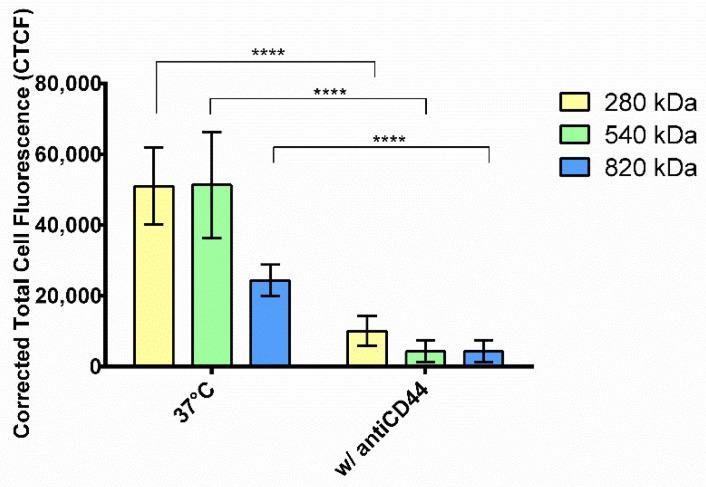 https://cdn.ncbi.nlm.nih.gov/pmc/blobs/16c5/8781203/12484a8152f8/pharmaceuticals-15-00103-g005.jpg