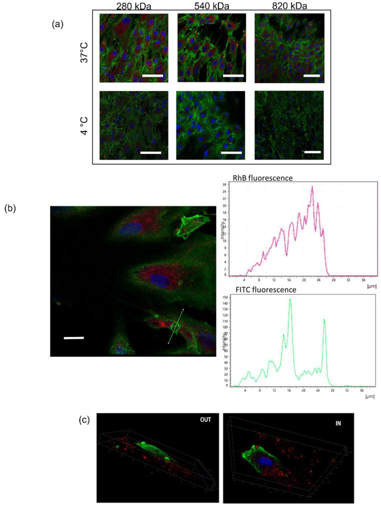 https://cdn.ncbi.nlm.nih.gov/pmc/blobs/16c5/8781203/8493a40eb80f/pharmaceuticals-15-00103-g004.jpg
