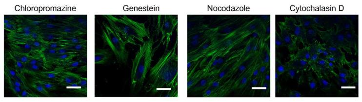 https://cdn.ncbi.nlm.nih.gov/pmc/blobs/16c5/8781203/96ea9423e37d/pharmaceuticals-15-00103-g009.jpg