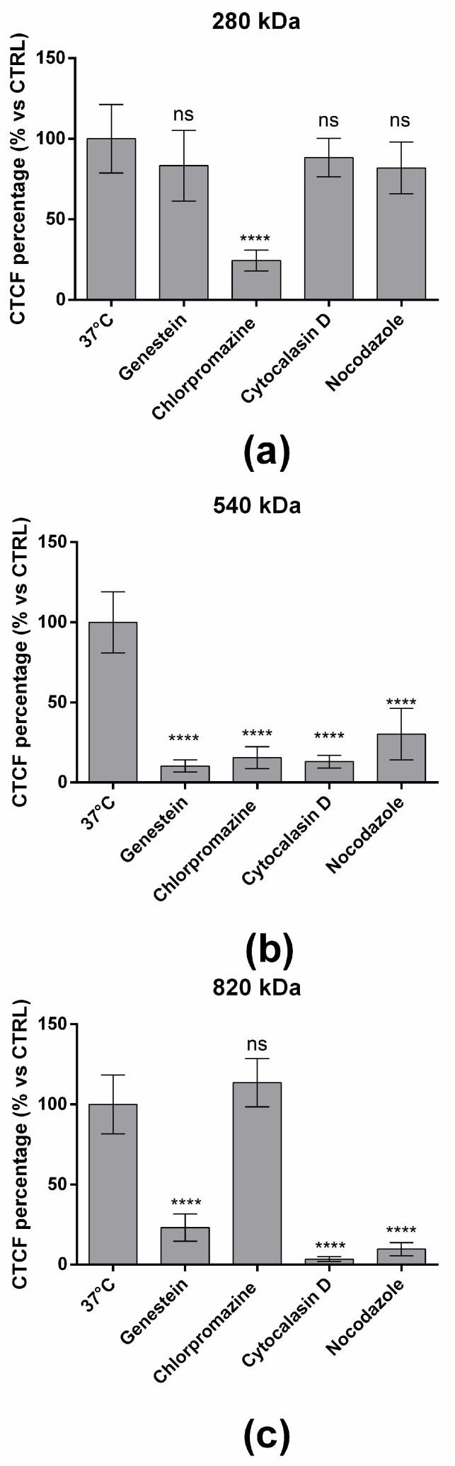 https://cdn.ncbi.nlm.nih.gov/pmc/blobs/16c5/8781203/b82782a6669d/pharmaceuticals-15-00103-g007.jpg