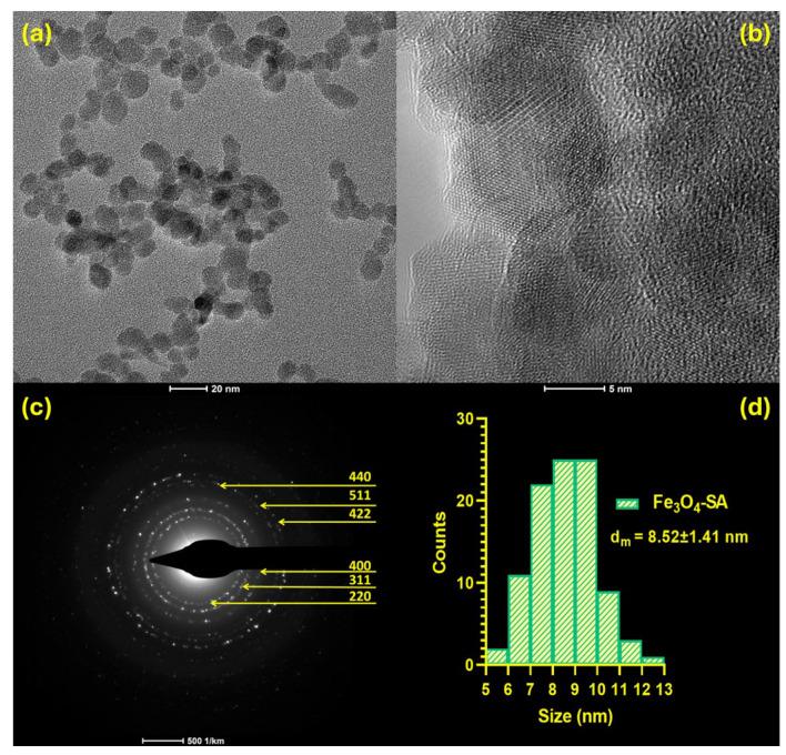 https://cdn.ncbi.nlm.nih.gov/pmc/blobs/16c6/11174075/f2113b651900/nanomaterials-14-00902-g007.jpg