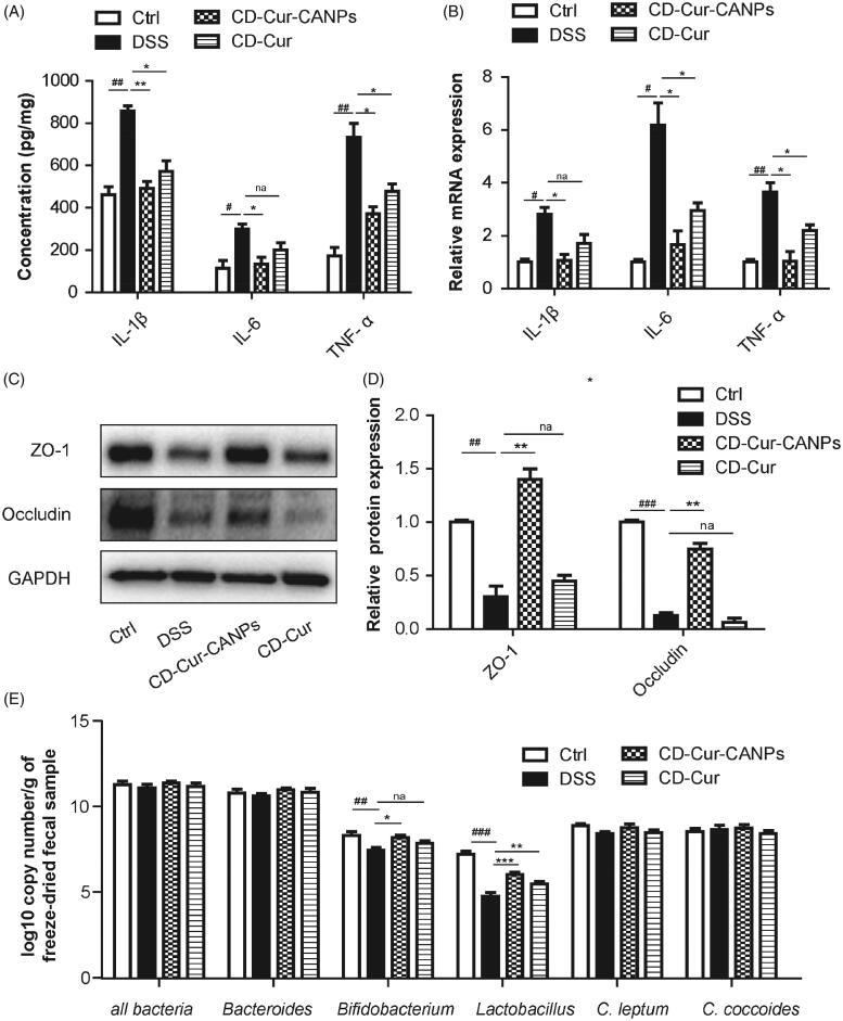 https://cdn.ncbi.nlm.nih.gov/pmc/blobs/16c6/8205034/84a14df957a5/IDRD_A_1934189_F0006_B.jpg