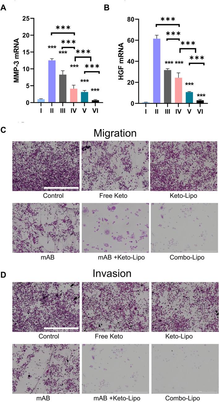 https://cdn.ncbi.nlm.nih.gov/pmc/blobs/16c7/12119752/13e2a9d1b8e9/12033_2024_1227_Fig3_HTML.jpg