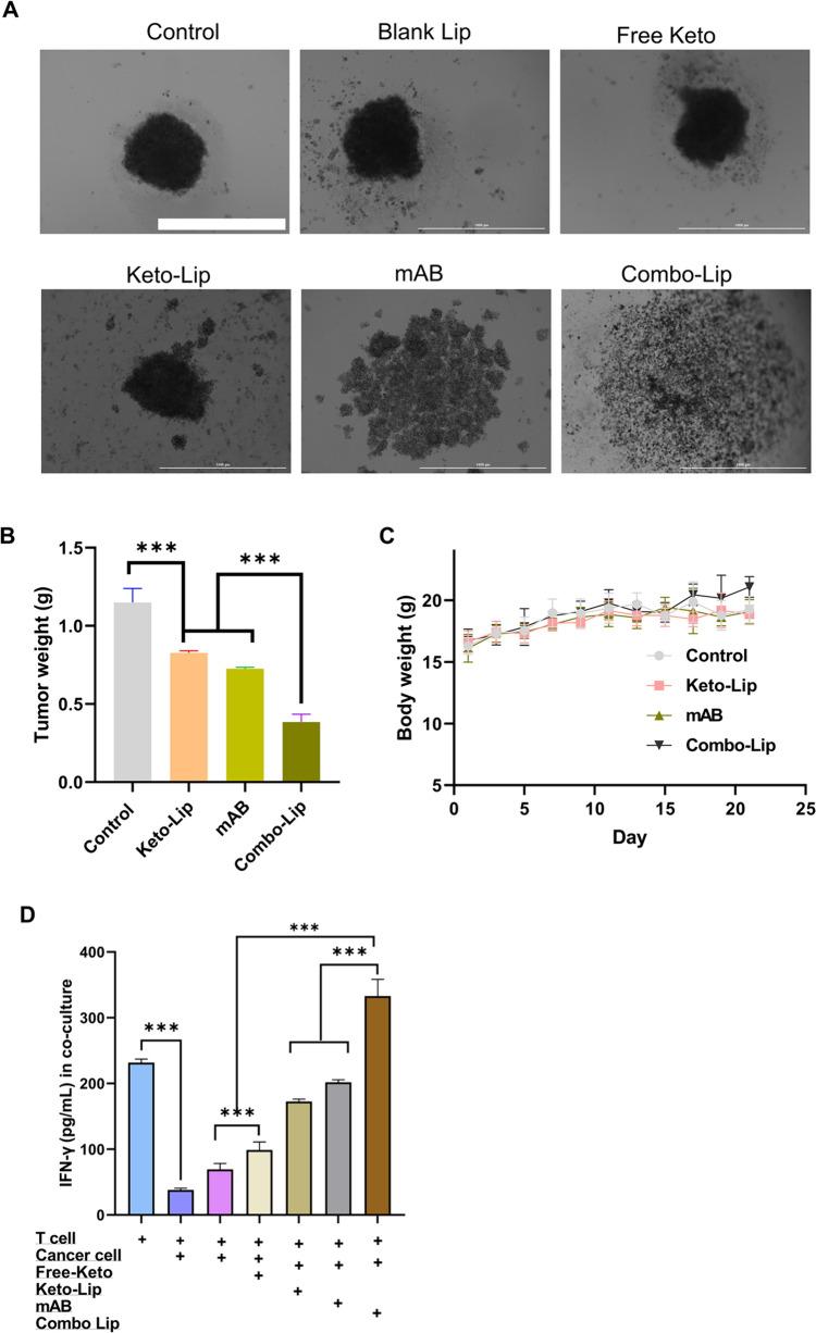 https://cdn.ncbi.nlm.nih.gov/pmc/blobs/16c7/12119752/2ec24458ac03/12033_2024_1227_Fig6_HTML.jpg