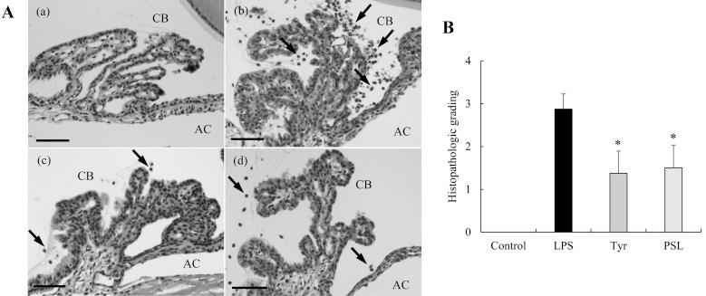 https://cdn.ncbi.nlm.nih.gov/pmc/blobs/16c7/5095636/466a266f7842/jvms-78-1631-g001.jpg